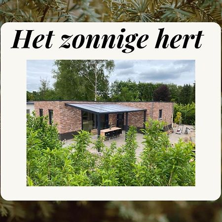 Het Zonnige Hert Эрмело Экстерьер фото